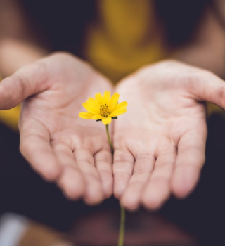 hope and kindness – Dinky Angels